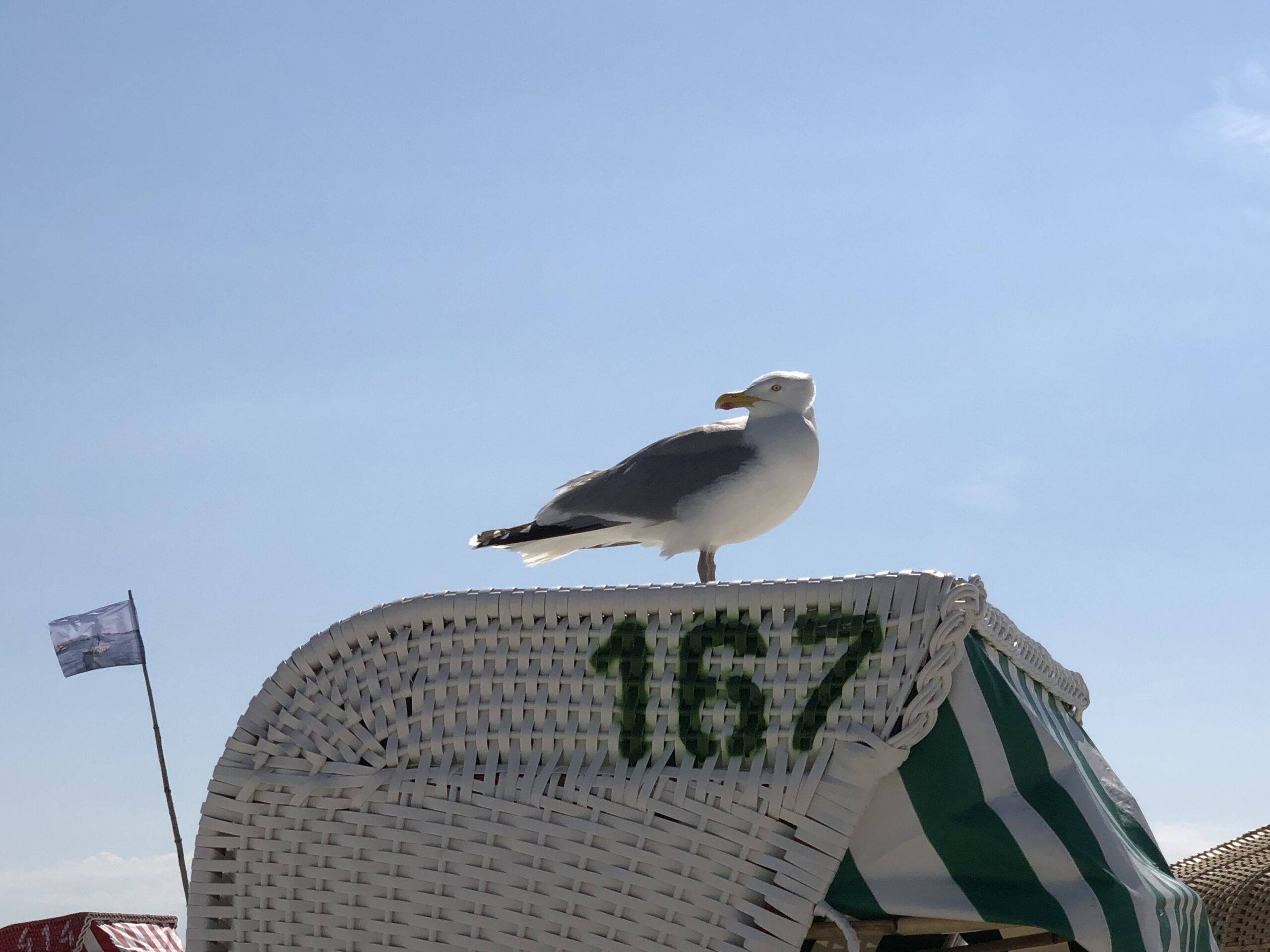 Oliver Urban Finanzberatung- Über mich